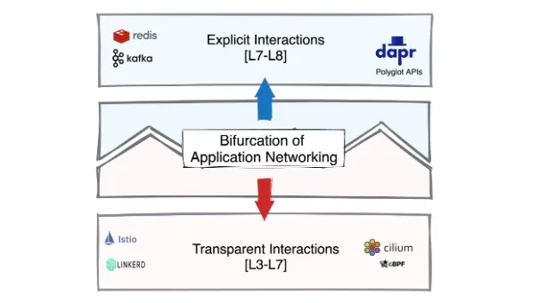 The Bifurcation of Application Networking